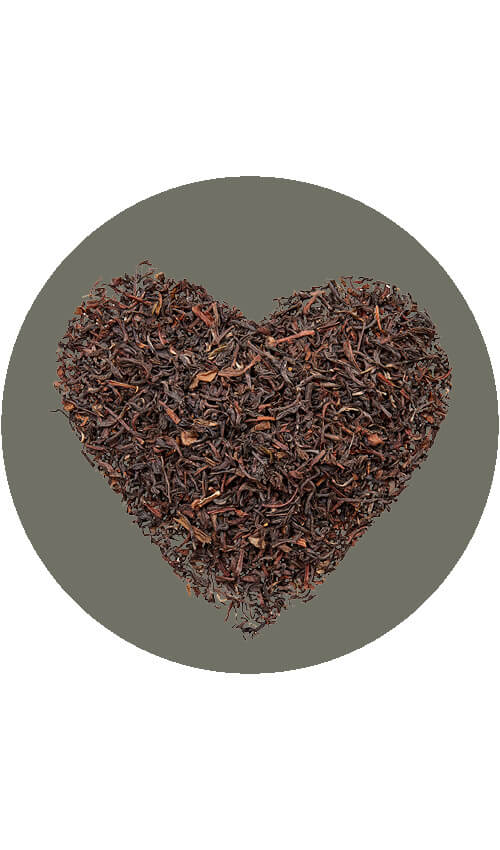 Schwarztee Darjeeling | 1 kg 