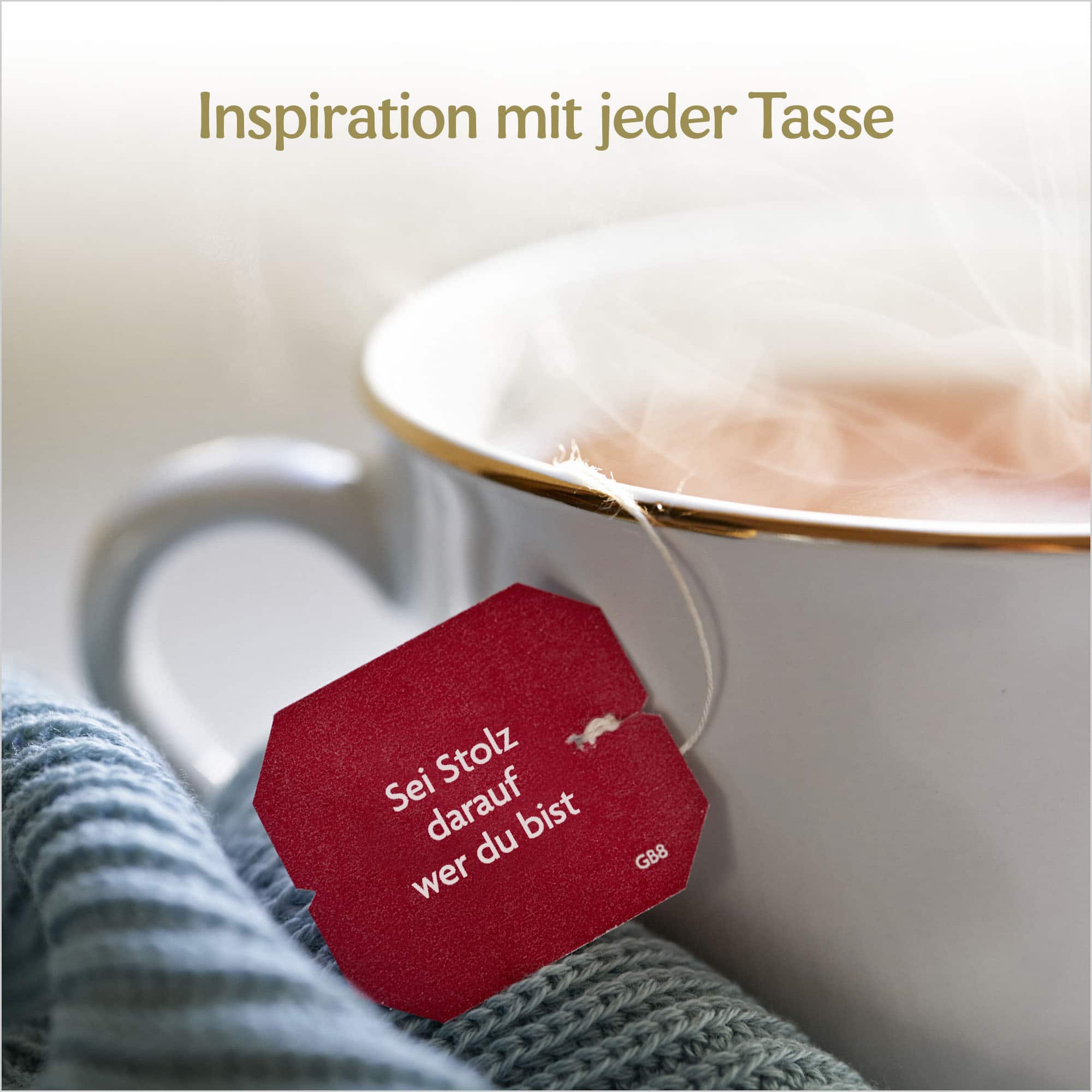 10 x BIO YOGI TEA Glücks Tee  | 10 x 34g 