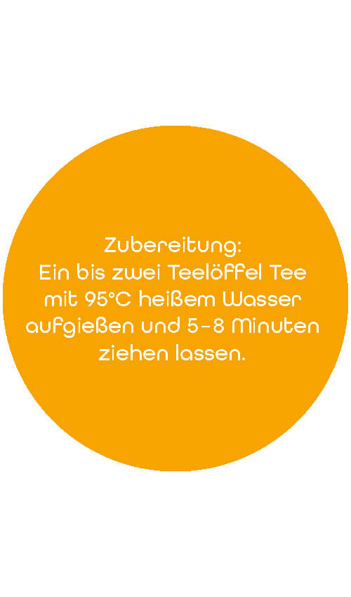 Vital Sportlertee Kräutertee | 75 g 