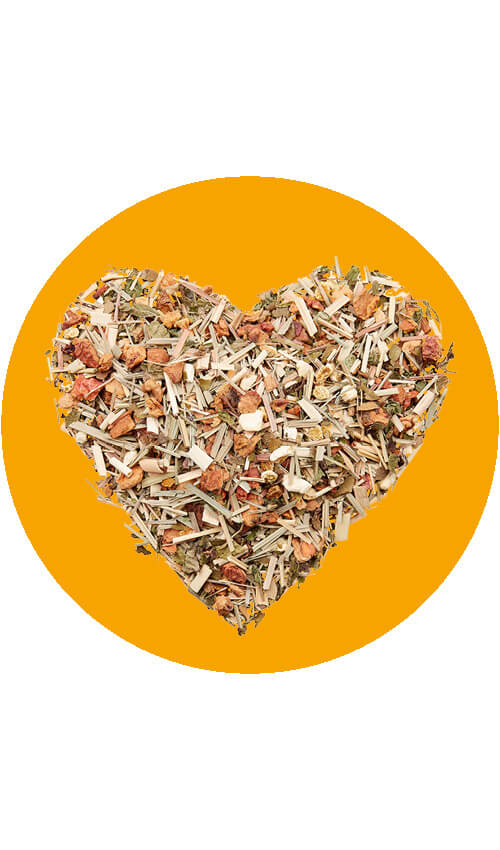 BIO Kräuter & Früchte Mix | 75 g 
