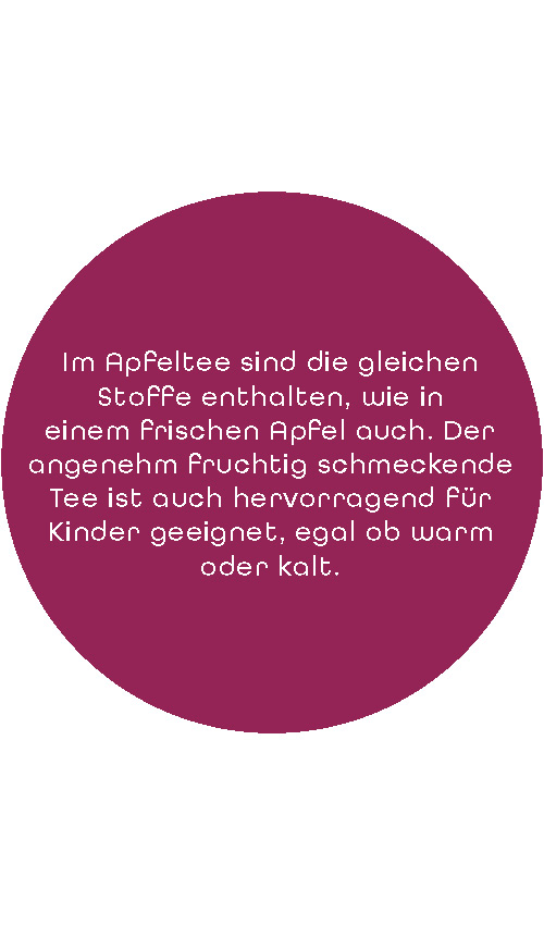BIO SariTee ApfelTraum | Pyramidenbeutel 10x2,5g 