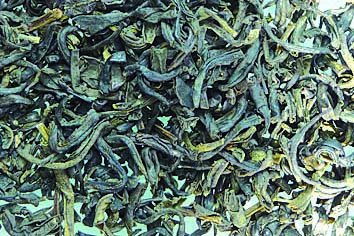 Bio GT China Jasmintee