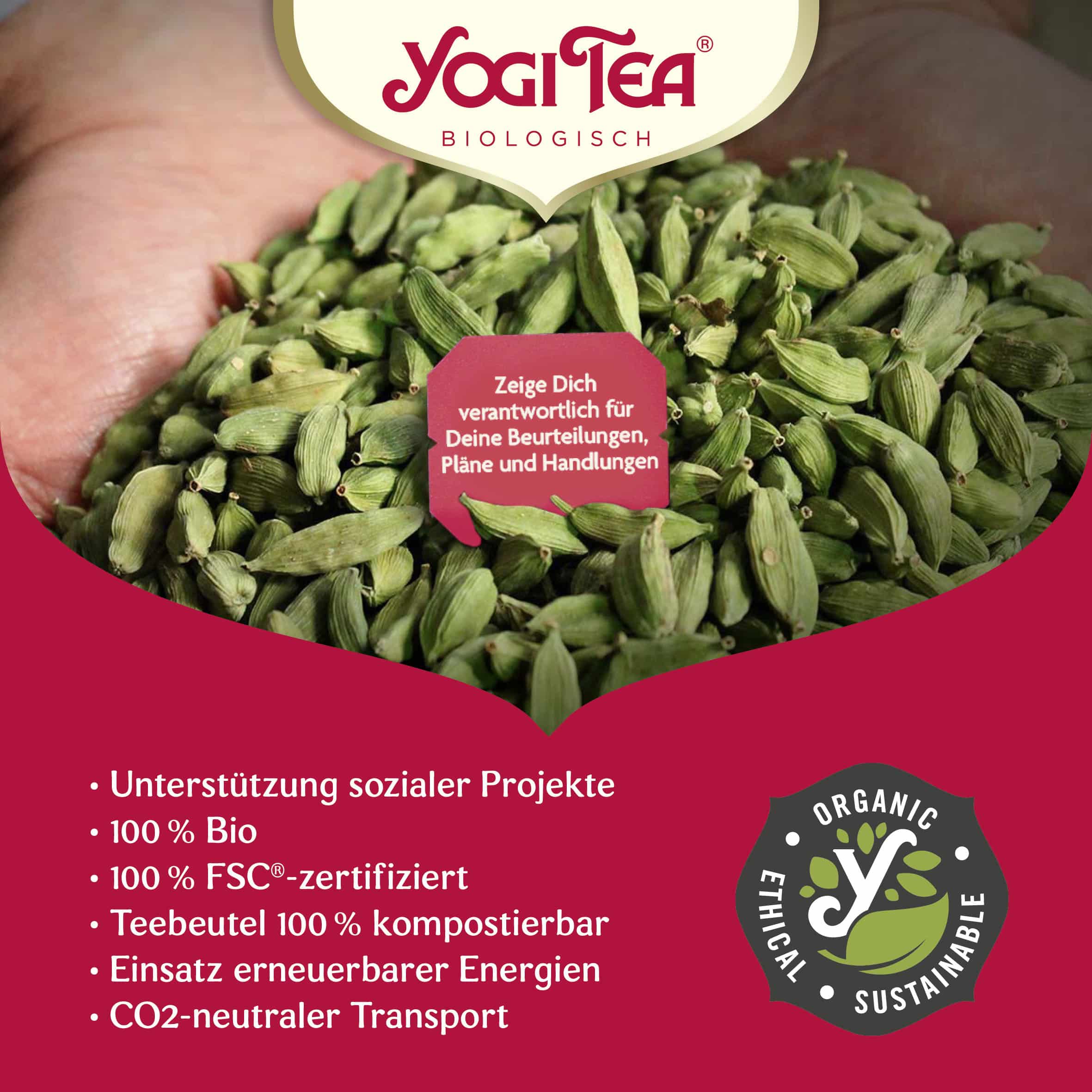 10 x BIO YOGI TEA Green Chai | 10 x 30,6g 