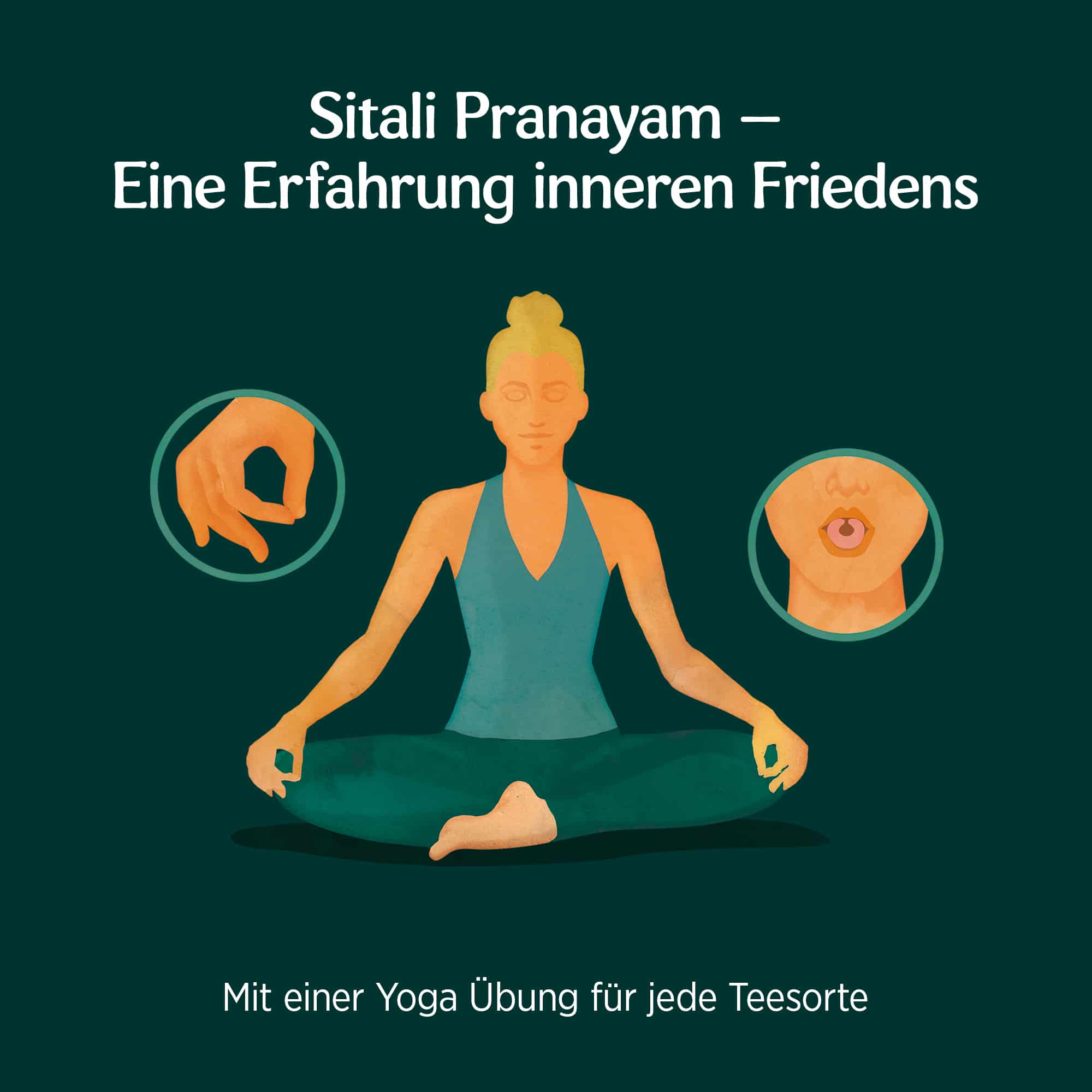 3 x BIO YOGI TEA Ruhe | 3 x 30,6g