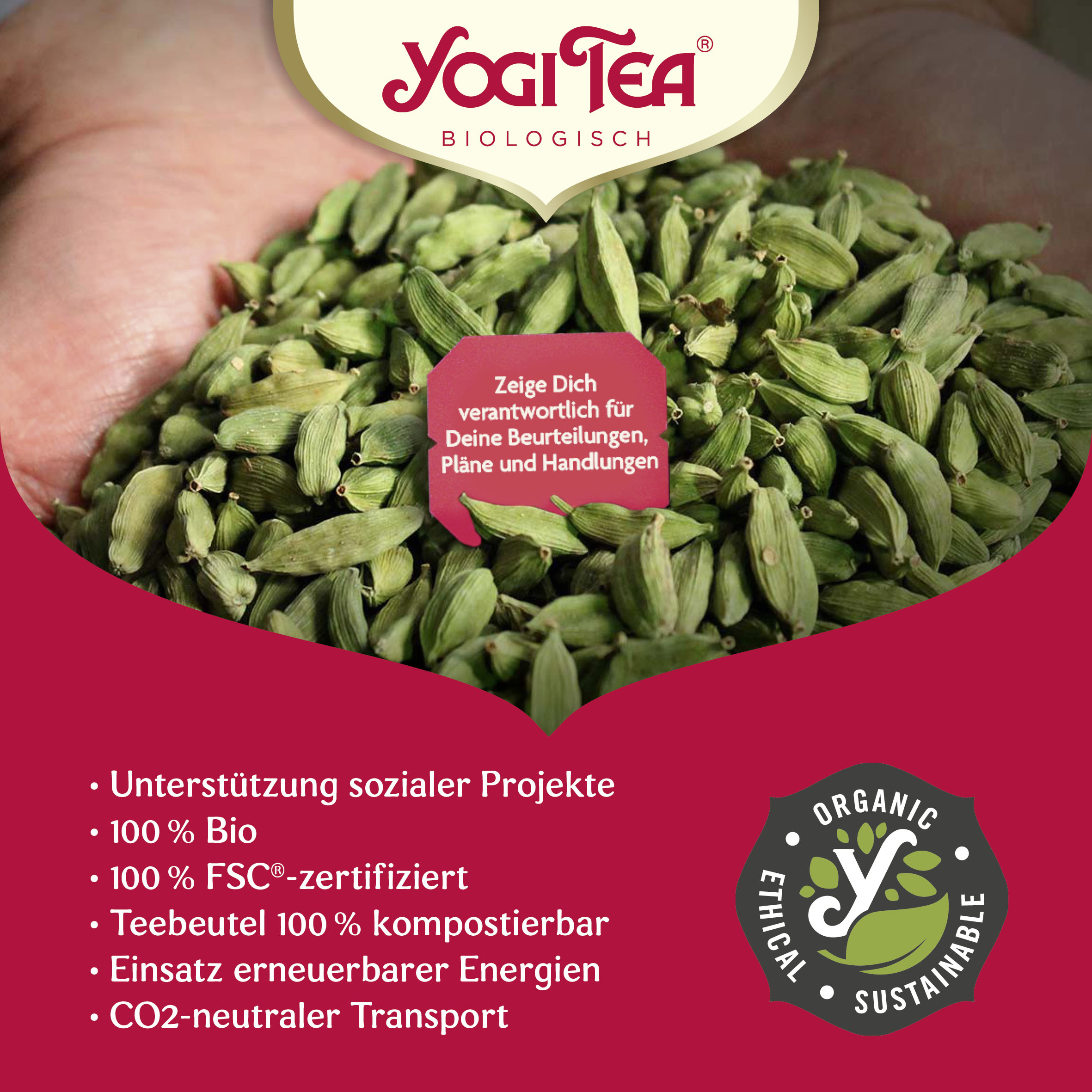 YOGI TEA Christmas BIO | 17 x 2,1g