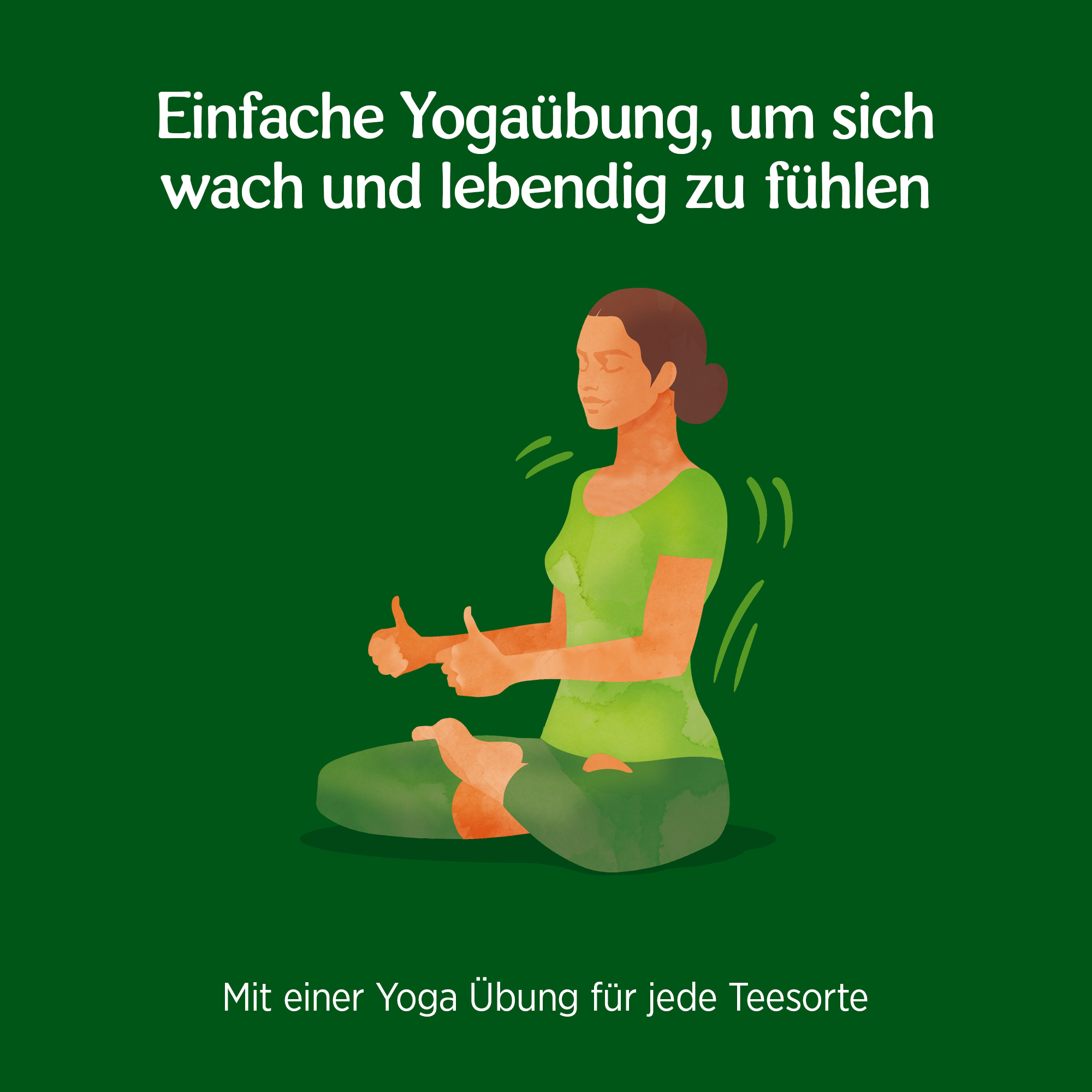 3x BIO YOGI TEA Grüntee Ingwer Zitrone | 3 x 30,6g