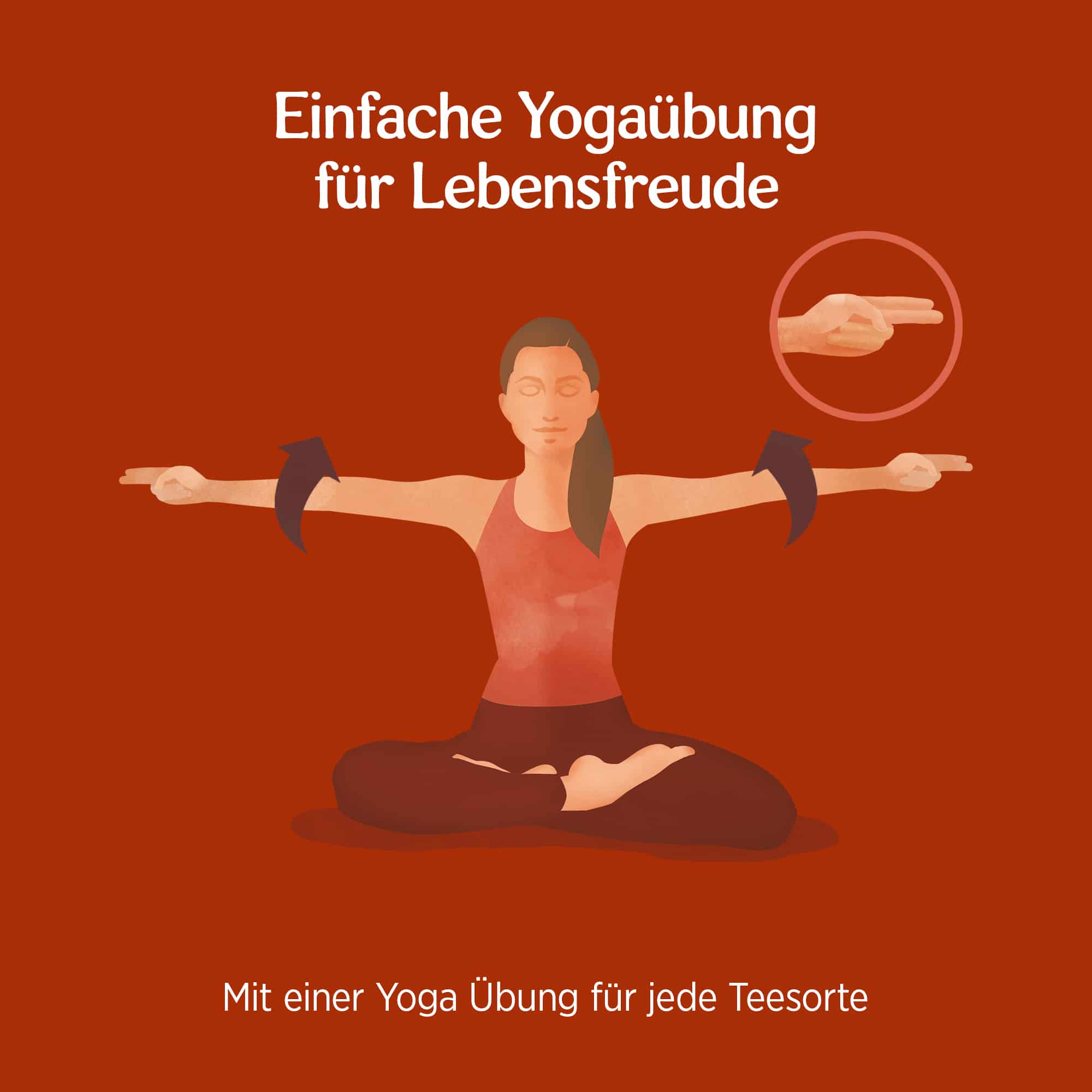 3 x BIO YOGI TEA Lebensfreude  | 3 x 30,6g