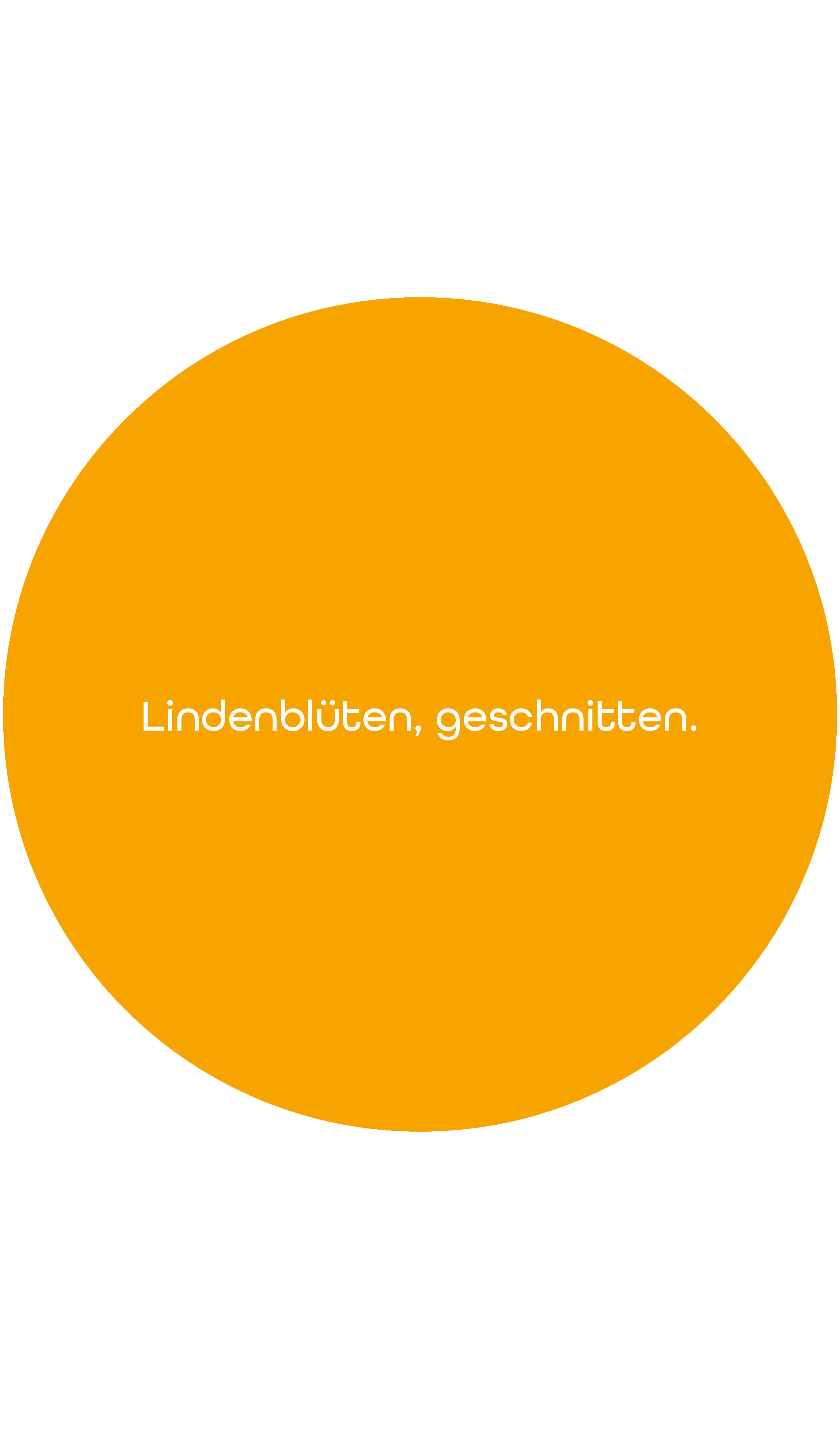 Lindenblütenmischung | 1kg 