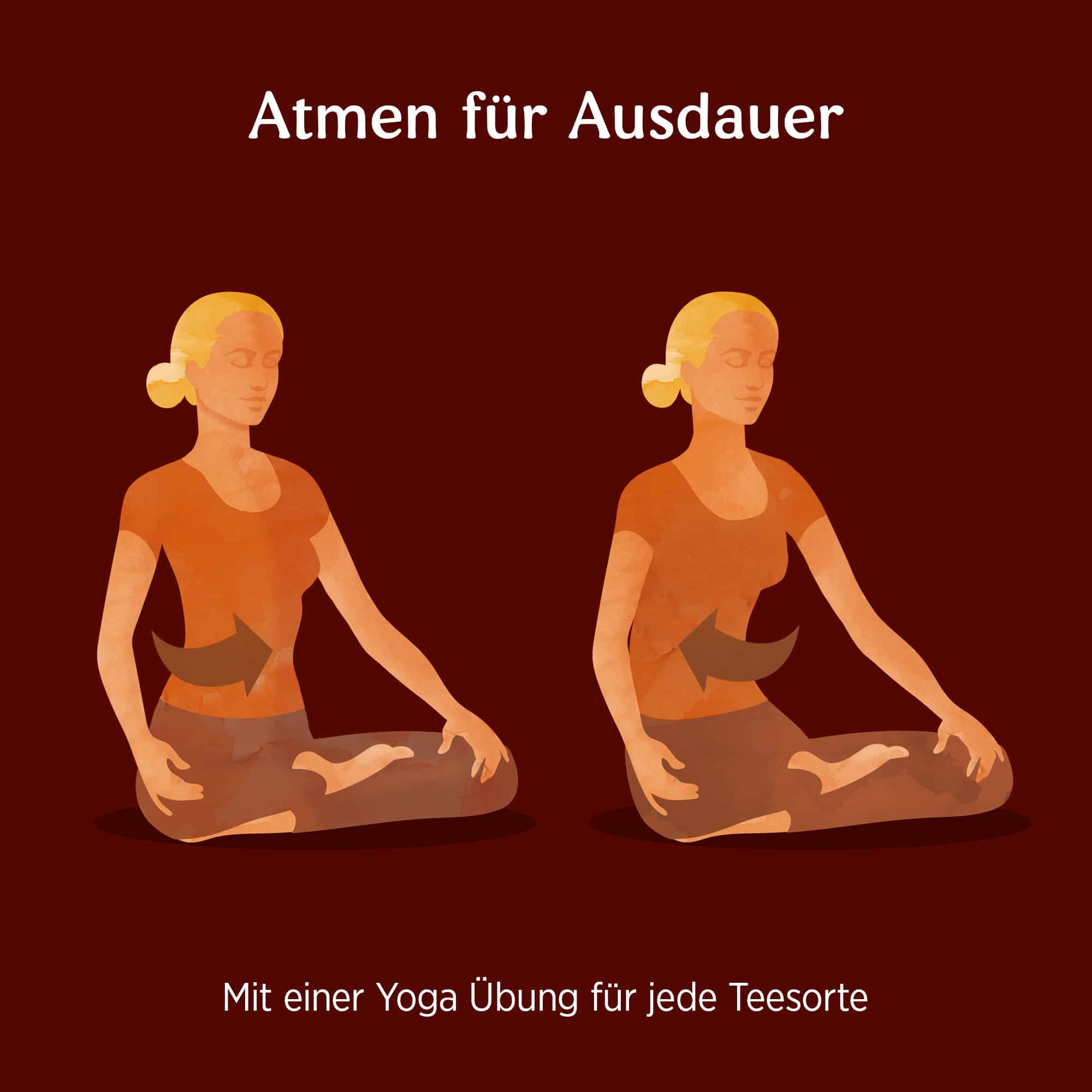 3 x BIO YOGI TEA Ingwer | 3 x 30,6g