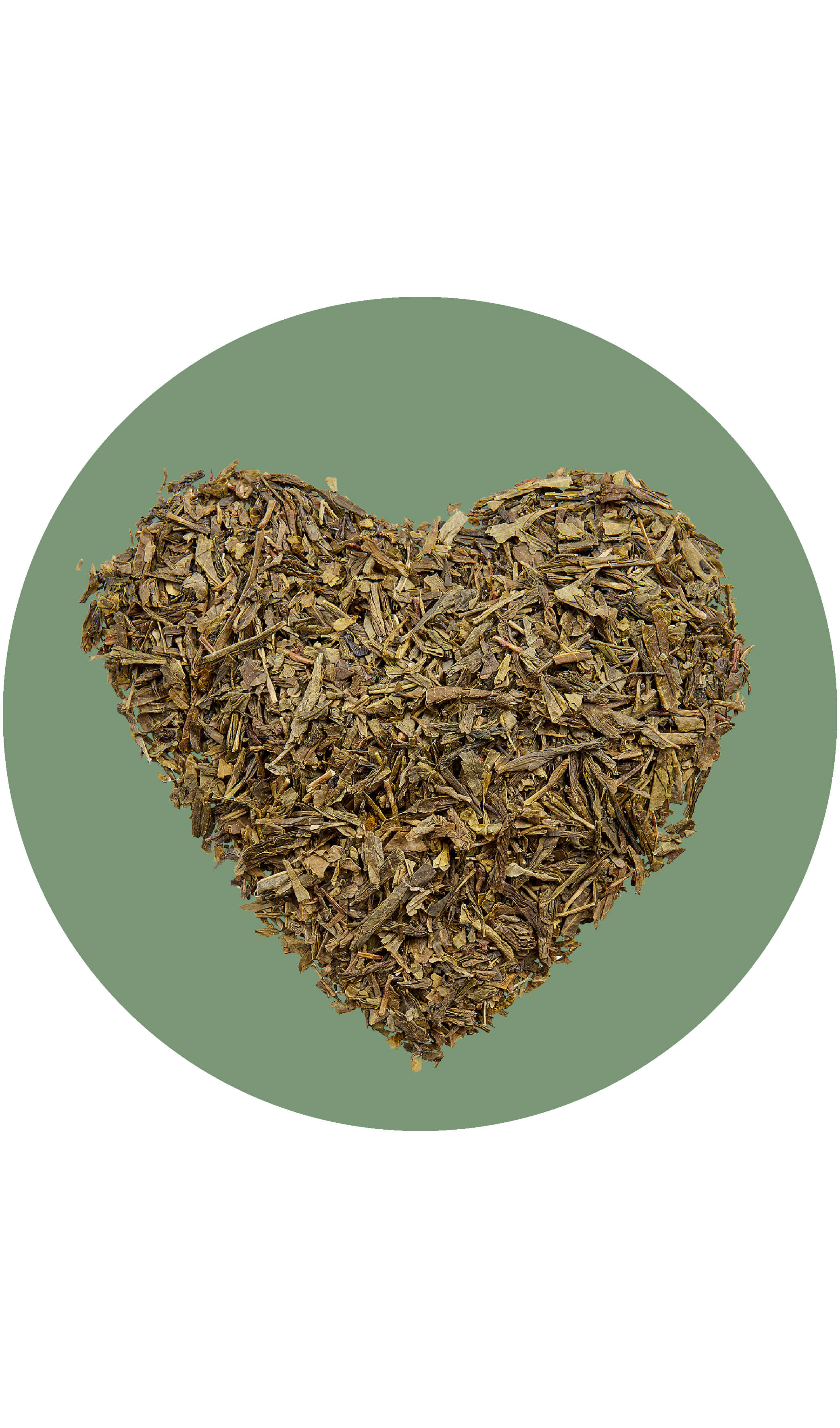 BIO Sencha Makoto | 1kg 