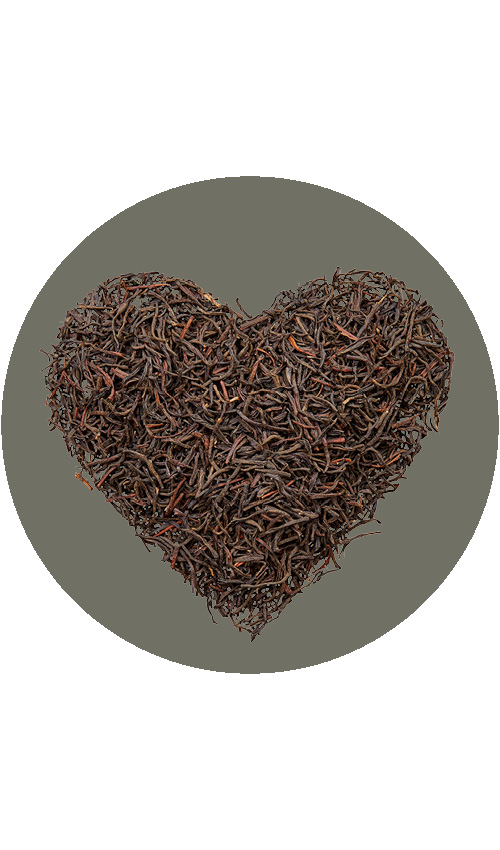 BIO SariTee EarlGrey | Pyramidenbeutel 10x2,5g 