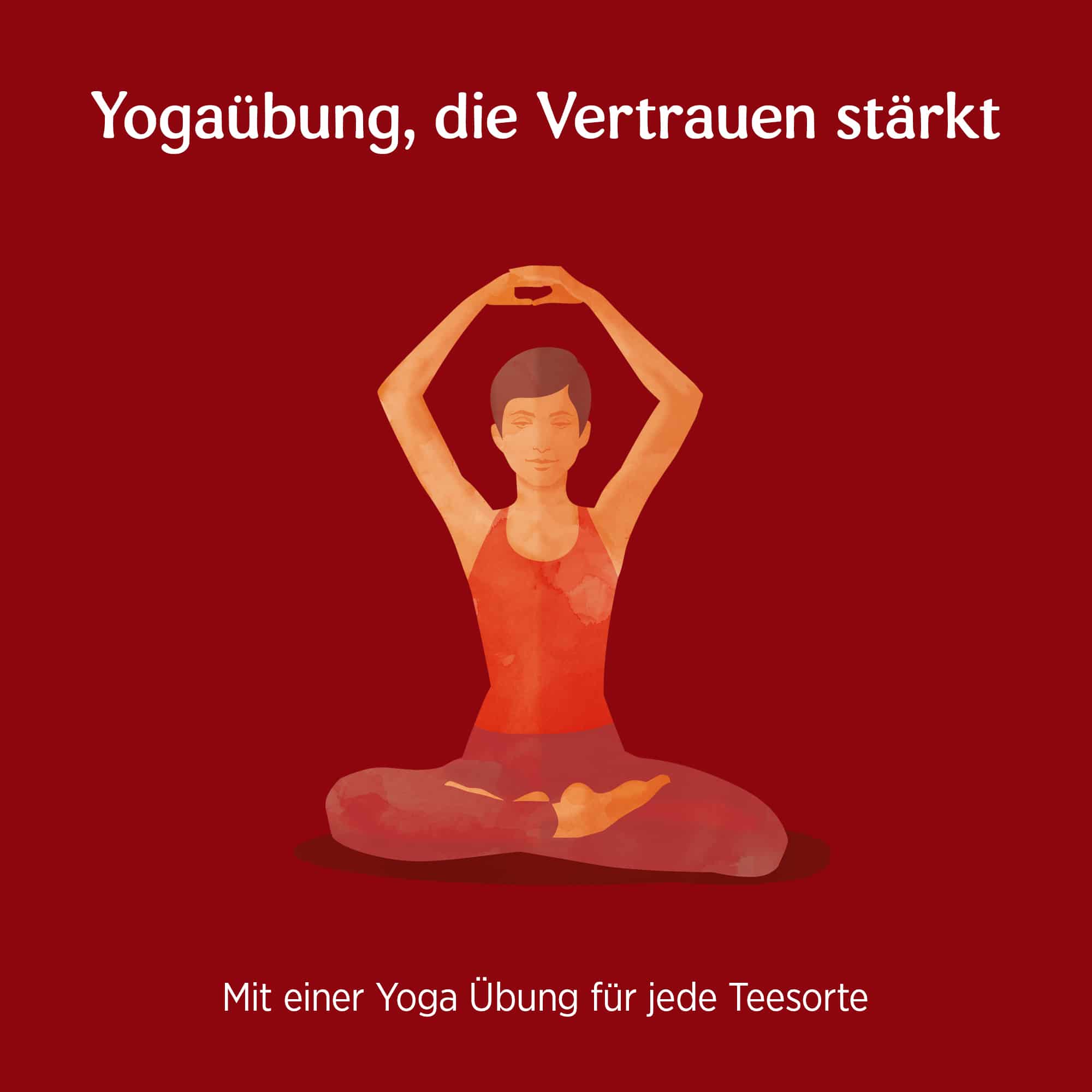 6 x BIO YOGI TEA Abend Rooibos Vanille | 6 x 30,6g