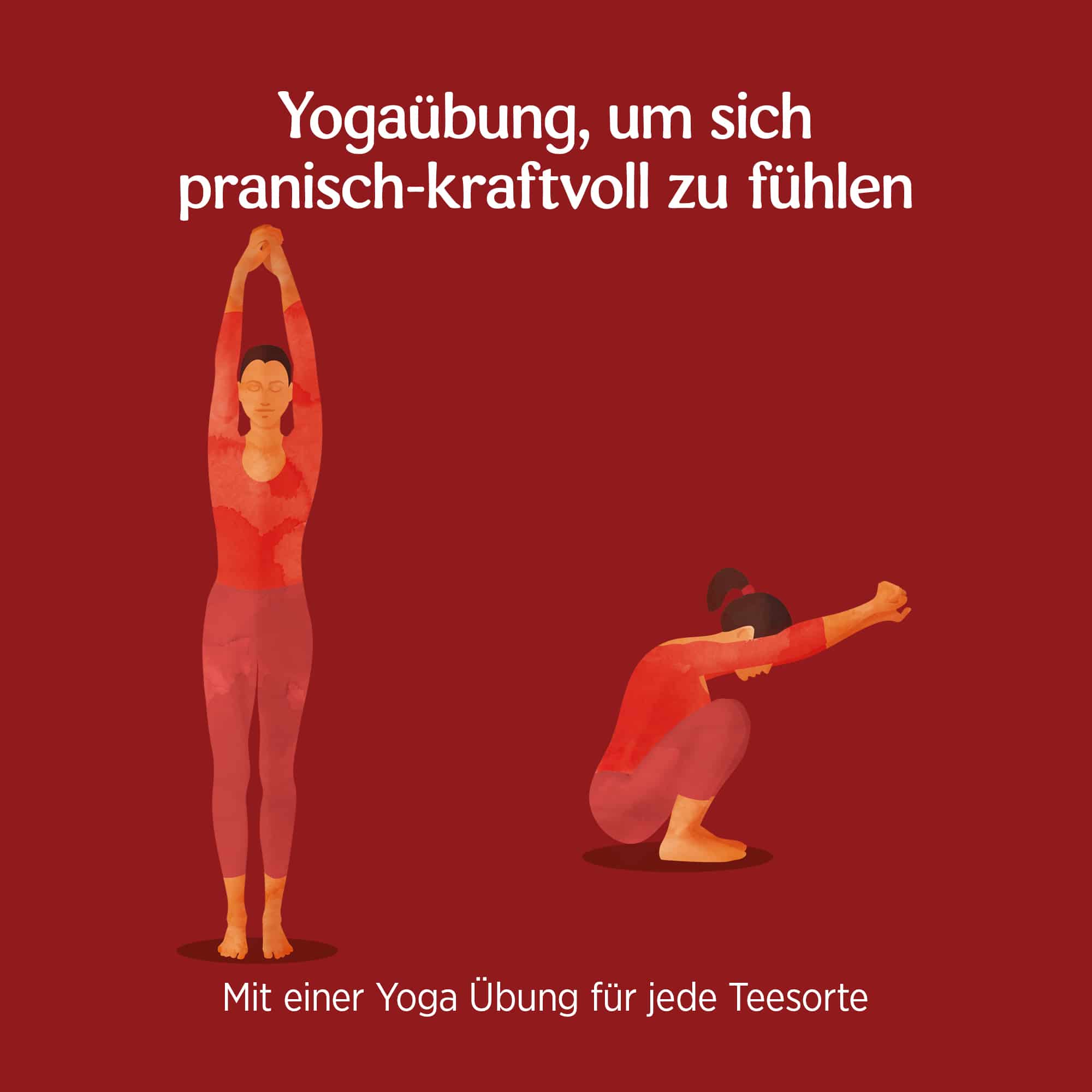 3 x BIO YOGI TEA Positive Energie | 3 x 30,6g