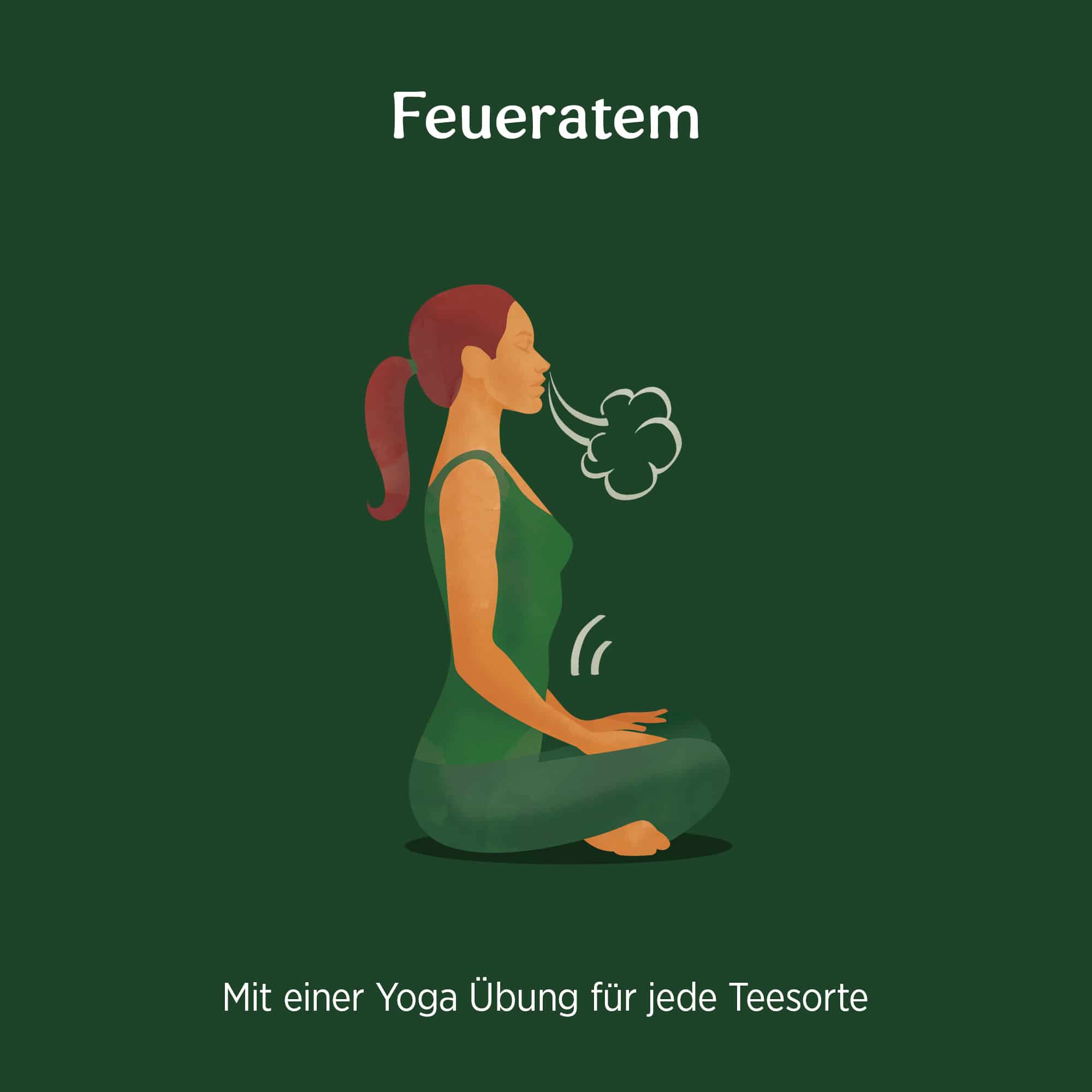 3 x BIO YOGI TEA Green Chai | 3 x 30,6g