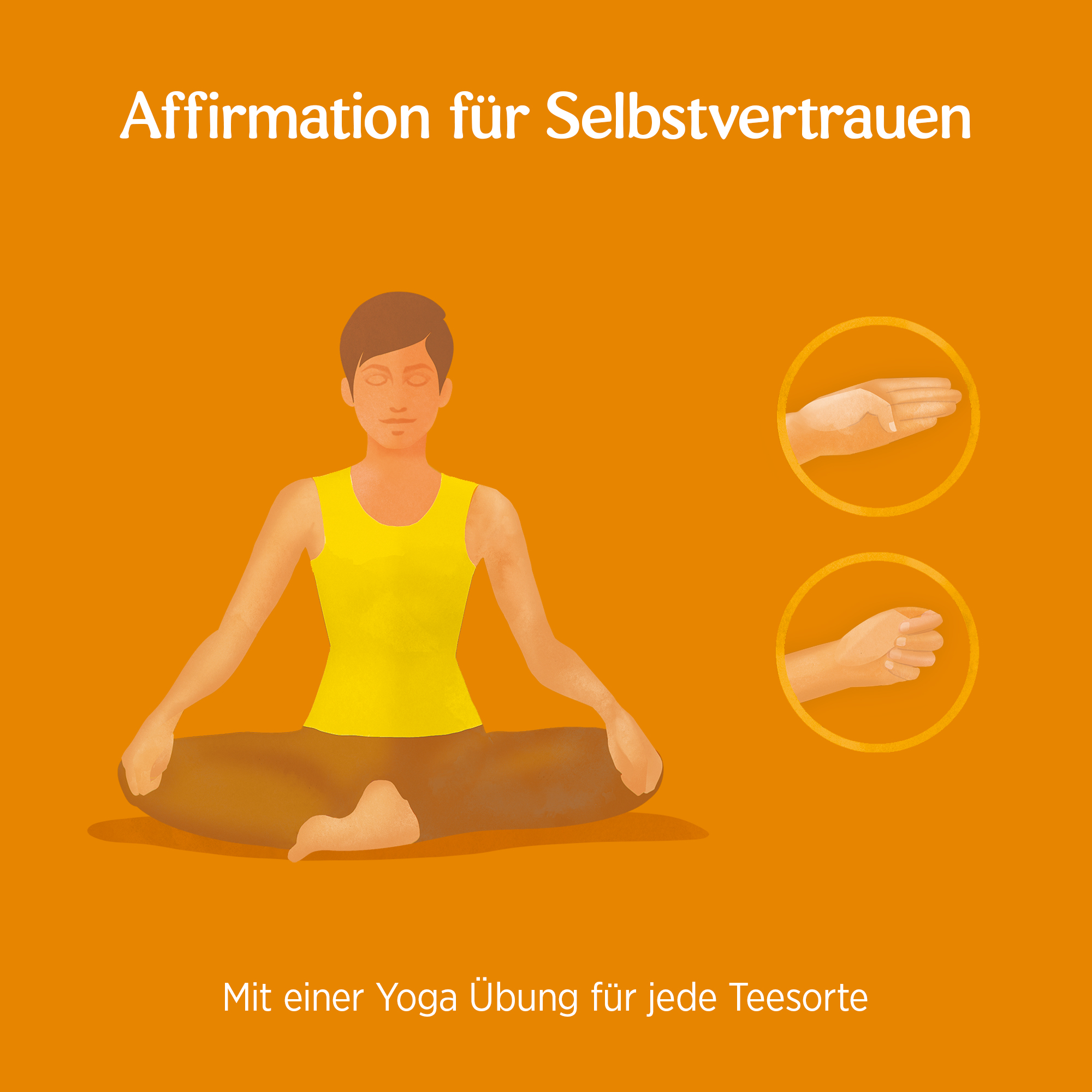 6 x BIO YOGI TEA Ingwer Zitrone | 6 x 30,6g