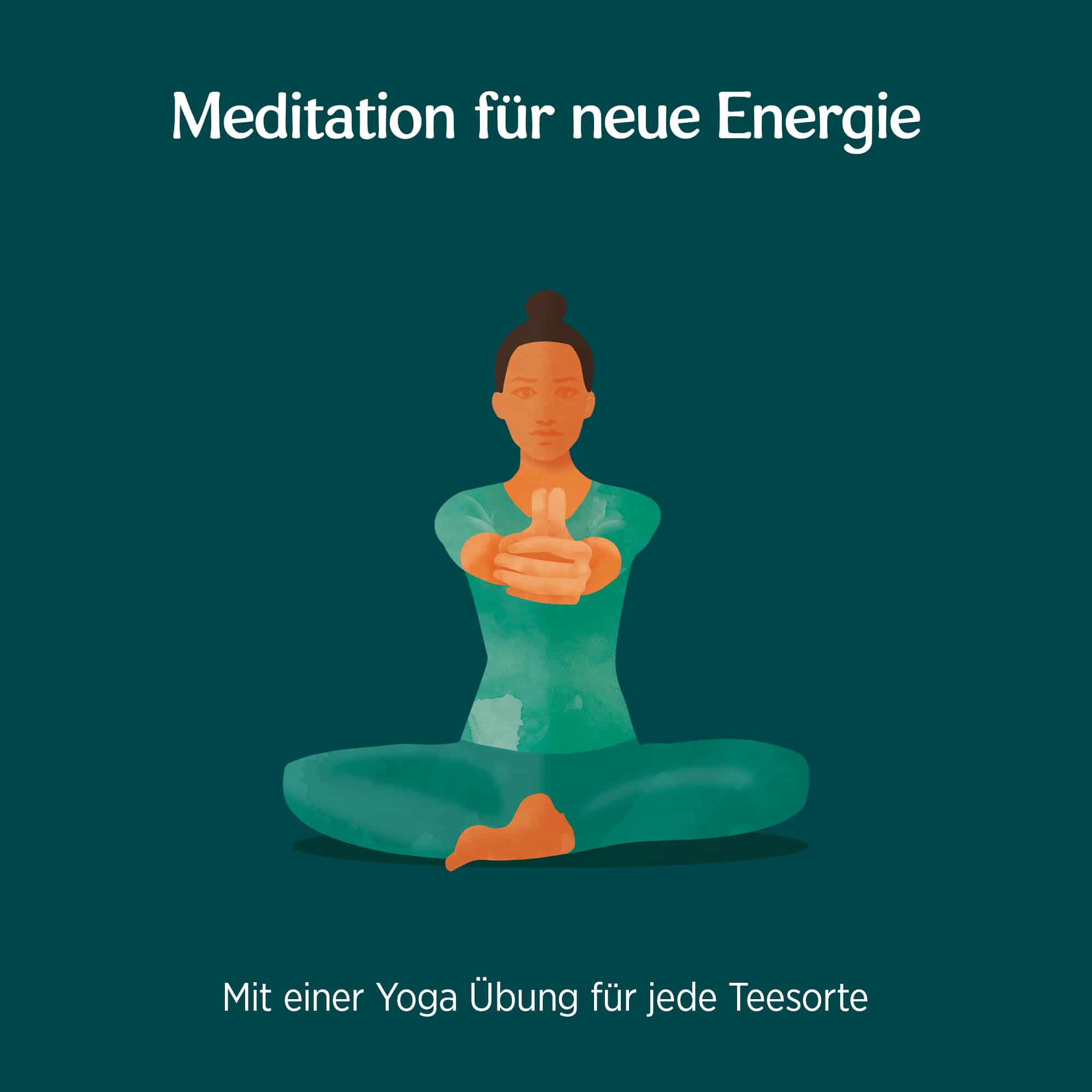 10 x BIO YOGI TEA Minzige Chlorella | 10 x 34g 