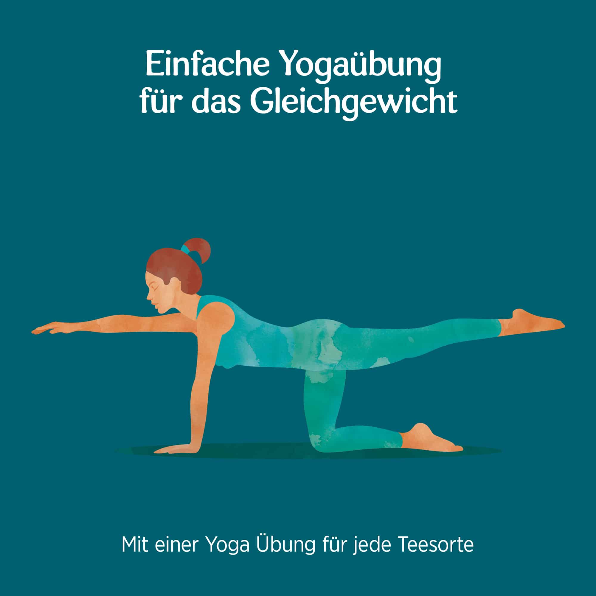 6 x BIO YOGI TEA Halswärmer | 6 x 30,6g