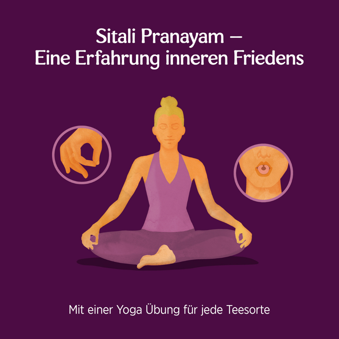 10 x YOGI TEA Ashwagandha Balance Bio 34g Bio Kräutertee - fruchtig. ausgleichend