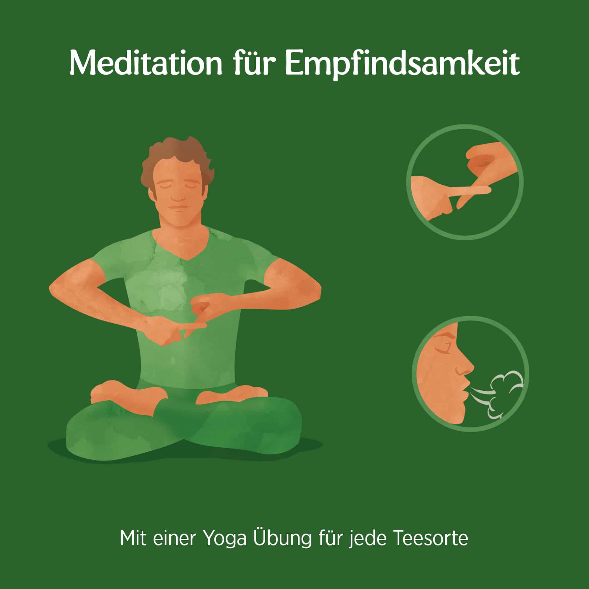 3 x BIO YOGI TEA Natürliche Balance | 3 x 34g