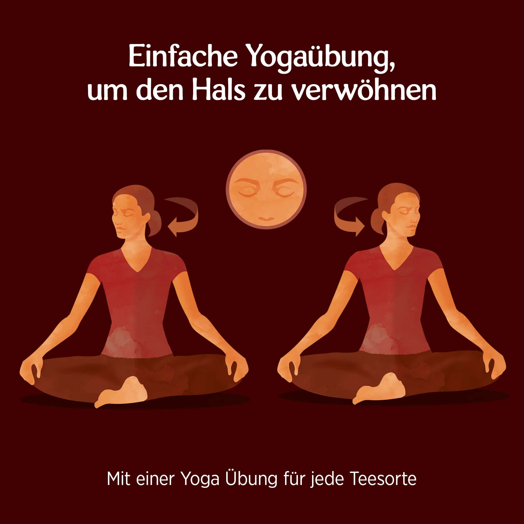 6 x BIO YOGI TEA Echinacea | 6 x 30,6g