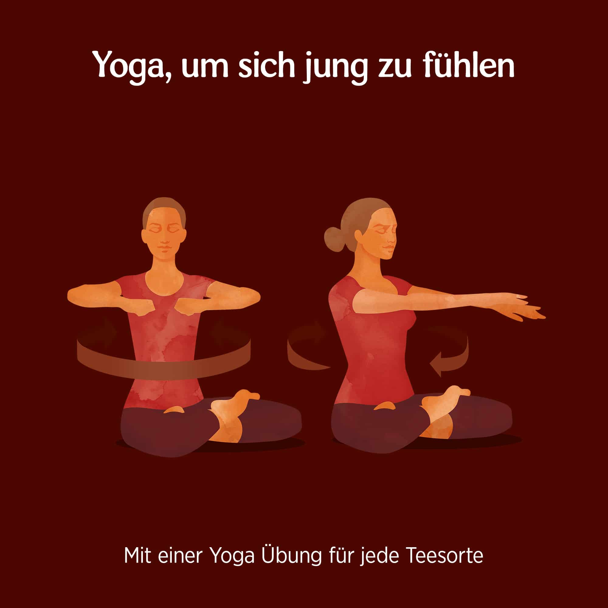 3 x BIO YOGI TEA Maca Chai | 3 x 35,7g