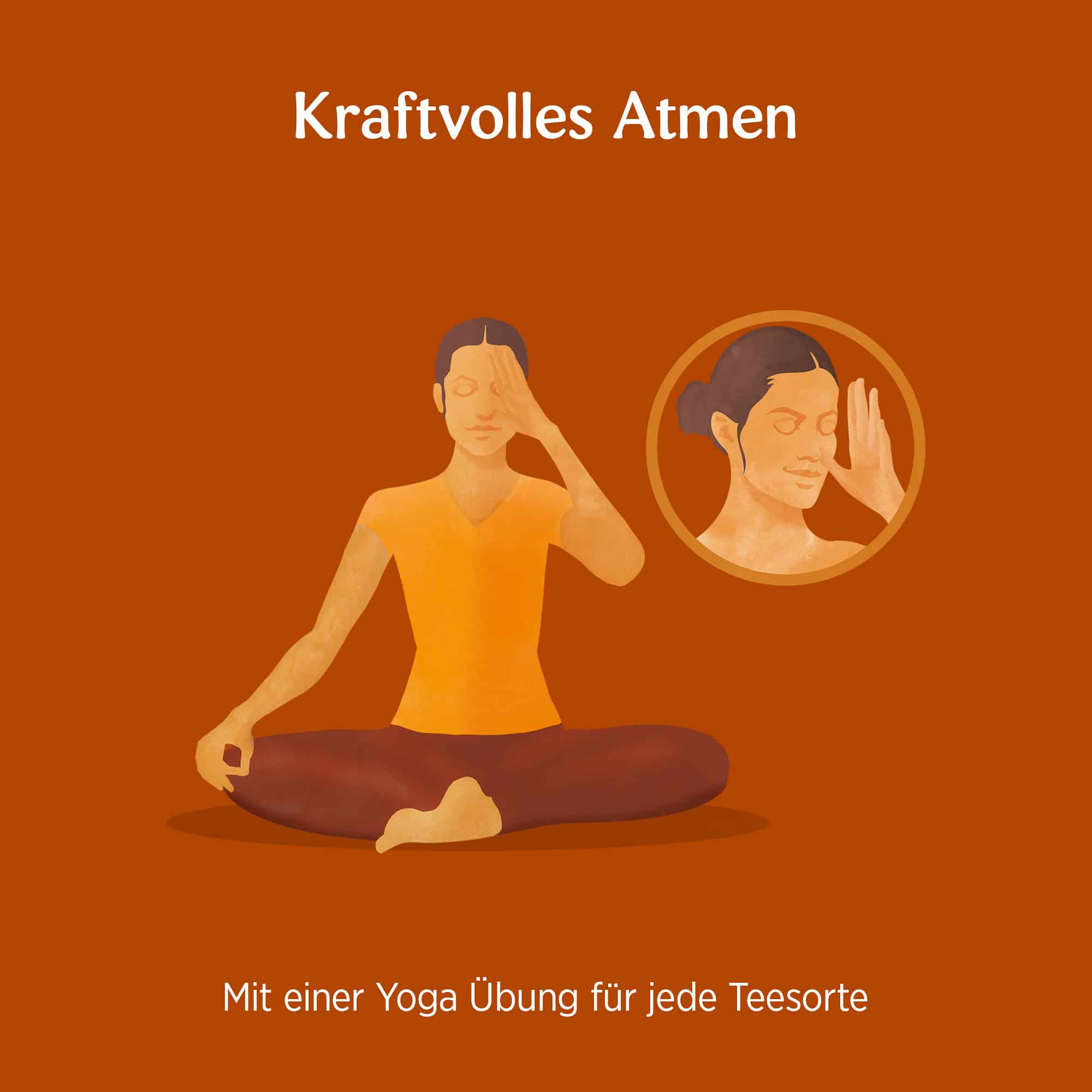 3 x BIO YOGI TEA Ingwer Orange | 3 x 30,6g